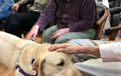 Canine Assisted Therapy Documentary Video