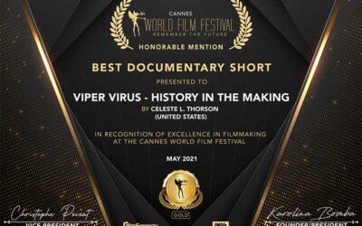 Cannes World Film Festival – Honorable Mention