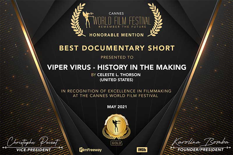 Cannes World Film Festival – Honorable Mention