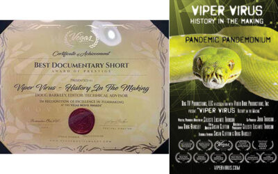 Best Documentary Short – Las Vegas Movie Awards