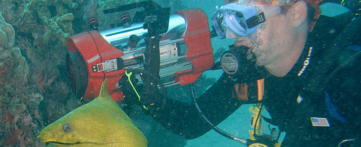 underwater videographers