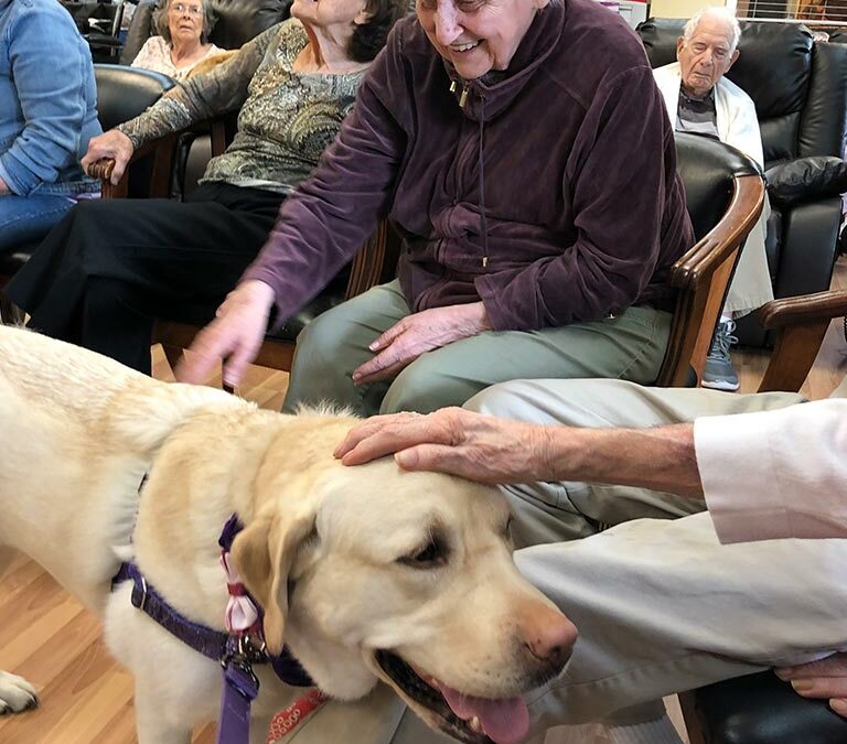 Canine Assisted Therapy Documentary Video